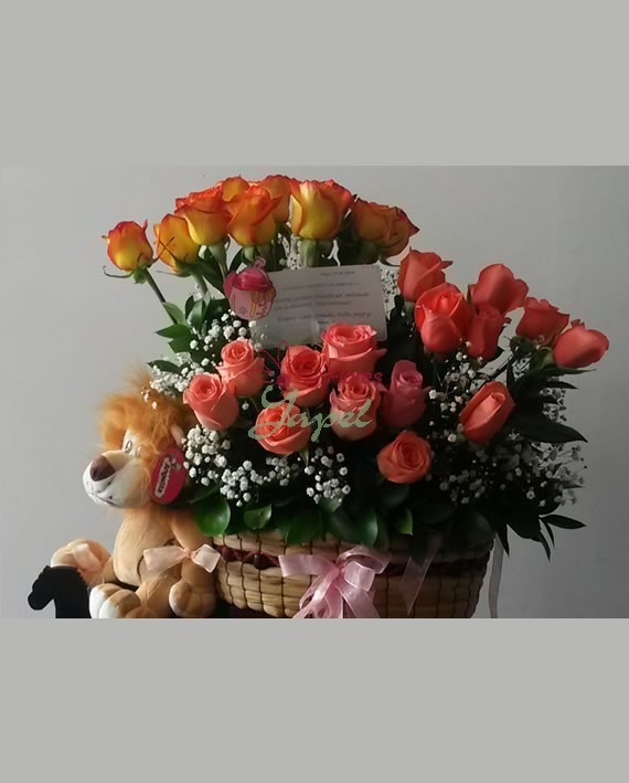Nacimientos 13