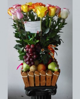 Recuperate Pronto 09