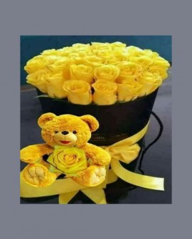 Recuperate Pronto 12