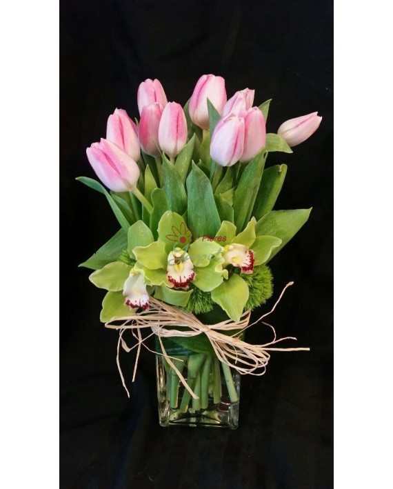 Flores Navidad
