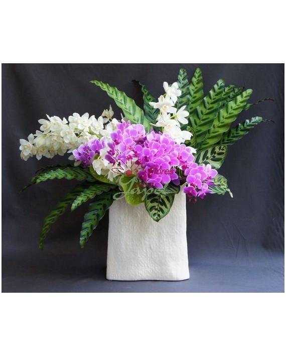 Flores Navidad