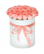 Flores Navidad