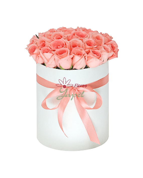 Flores Navidad