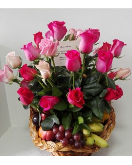 Recuperate Pronto 06