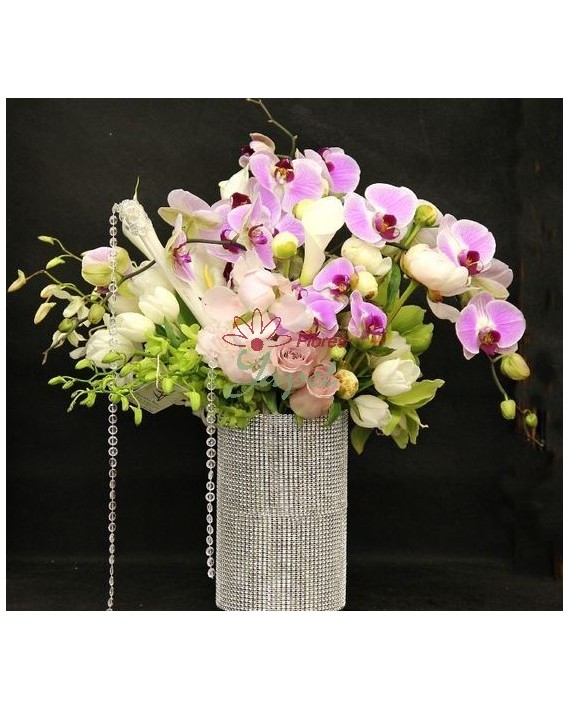 Flores Navidad