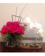 Flores Navidad