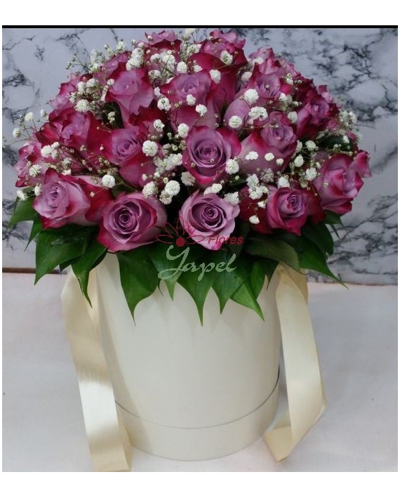 Flores Navidad