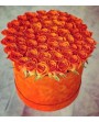 Aniversario 16
