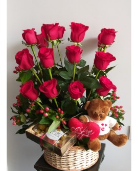 Recuperate Pronto 04