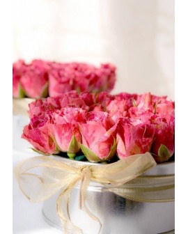 Recuperate Pronto 10