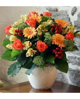 Recuperate Pronto 02