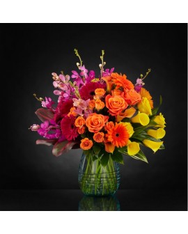 Recuperate Pronto 14