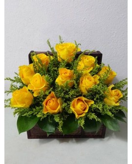 Recuperate Pronto 05