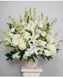 Condolencias 09