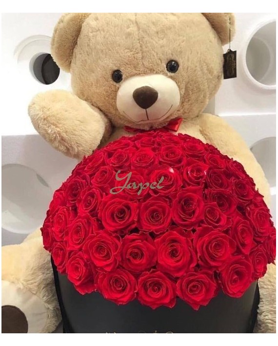 Flores Navidad