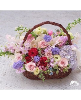 Recuperate Pronto 15