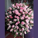 Condolencias